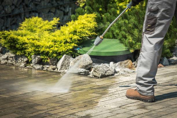 Best Playground Equipment Cleaning  in Avon, MN